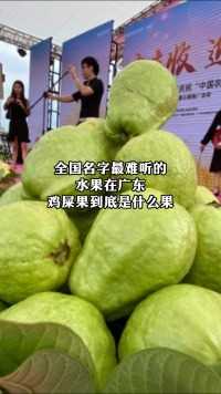 水果在广东鸡屎果到底是什么果。