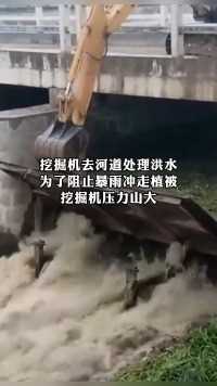 挖掘机去河道处理洪水为了阻止暴雨冲走植被挖掘机压力山大
