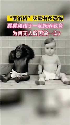 凯洛格”实验有多恐怖，猩猩和孩子一起抚养教育，为何无人敢再做一次？#令人震惊