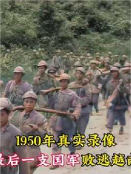 1950年真实录像，最后一支国军败逃越南，被法军缴械后关押战俘营