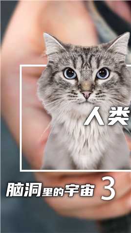 人类真的彻底驯化了猫吗？（3）