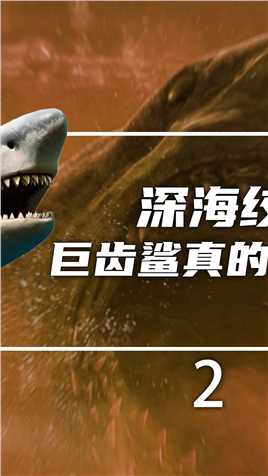 深海绞肉机——巨齿鲨真的灭绝了吗？（2）