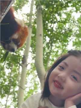 头顶上长了一只小熊猫~ #小熊猫不是小浣熊 #动物园里有什么 #骗你生女儿