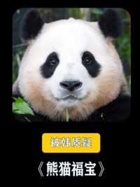 福宝回国后，被韩国人质疑，中国虐待大熊猫，要求我们归还福宝。