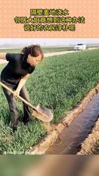 隔壁麦地浇水
邻居大姐竟想到这种办法
说好的农民淳朴呢