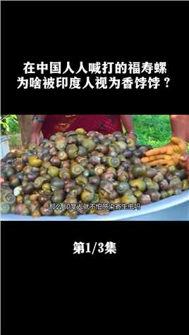 在中国人人喊打的福寿螺，为啥被印度人视为香饽饽？#福寿螺#田螺#涨知识 (1)