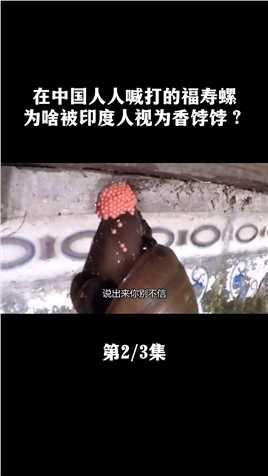 在中国人人喊打的福寿螺，为啥被印度人视为香饽饽？#福寿螺#田螺#涨知识 (2)
