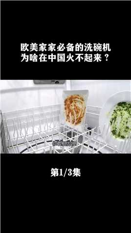 欧美家家必备的洗碗机，为啥在中国火不起来？#王一博#洗碗机#欧美#中国#生活#科普#涨知识 (1)
