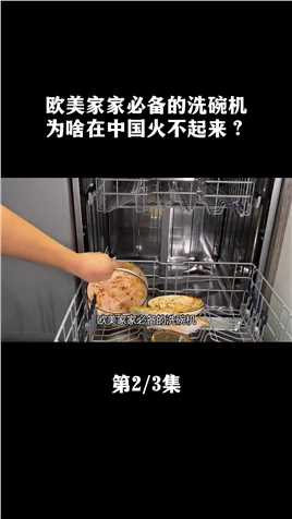 欧美家家必备的洗碗机，为啥在中国火不起来？#王一博#洗碗机#欧美#中国#生活#科普#涨知识 (2)