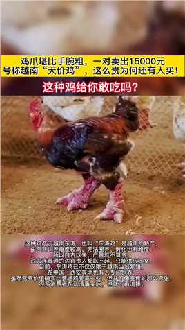 东涛鸡源于越南，因营养价值高，价格昂贵，因此又称为“天价鸡”，不过随着近几年我国出现大量养殖，很多消费者认清事实后，也不再追捧！