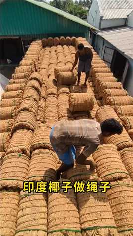 印度用椰子做绳子，结实耐用！ 