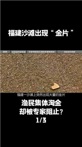 福建沙滩出现“金片”，渔民集体淘金，却被专家阻止？ (1)