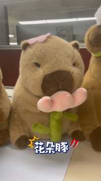 办公室里各种豚…