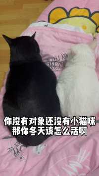 那你冬天怎么办？