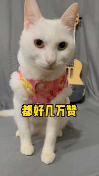 喵：是我不可爱吗？