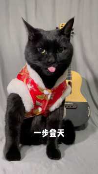 喵：新的一年，要一步登天～