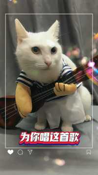 喵：为你唱首歌～