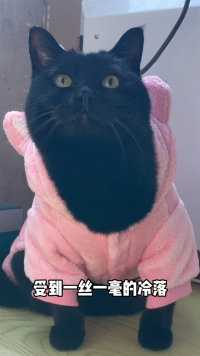 黏人的宝宝，不能受到一点冷落