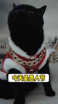 愚人节，教大家一个整人方法…