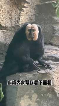 麻烦大家帮我看下面相…