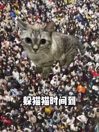 躲猫猫的时间到了！