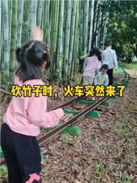同学们砍竹子的时候，火车来了，铁牛没有意识到危险来临，户外安全教育，要有安全意识