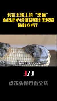 长在玉米上的“黑瘤”，看似恶心价值却堪比黑松露，你敢吃吗？ (3)