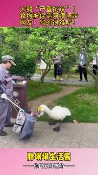 大鹅“严重抗议”！食物被保洁阿姨扫走，网友：骂的很难听！