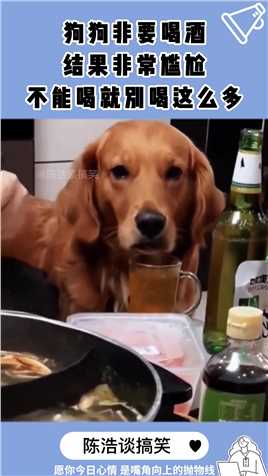 狗狗非要喝酒，结果非常尴尬，不能喝就别喝这么多#搞笑 #奇闻 #搞笑段子 #社会 