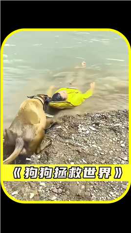 狗狗不顾危险拯救落水的男人 