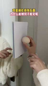 鸡蛋藏在纸板后面，为什么在镜子里面还能被看到呢？