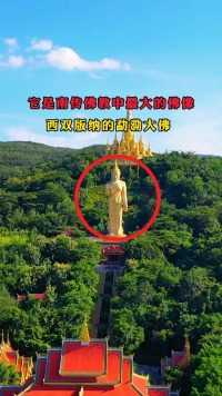 西双版纳勐泐大佛，南传佛教中最大的佛像  #勐泐大佛