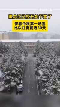 2024年的第一场雪比往年来得早一个月！黑龙江伊春迎来初雪