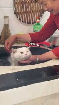在外婆家没有热水器洗澡怎么办！猫猫我啊！今天外婆在锅里给我洗澡！吓坏我啦！