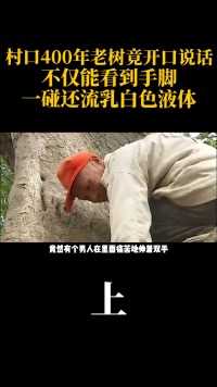村口400年老树竟开口说话，不仅能看到手脚，一碰还流乳白色液体#重庆#植物#树#真实故事#意外#自然 (1)