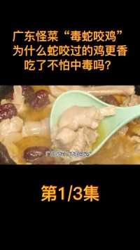 广东怪菜“毒蛇咬鸡”，为什么蛇咬过的鸡更香，吃了不怕中毒吗？ (1)