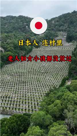 日本人连村里的老人小孩妇女都没有放过，手无还手之力，任人宰割，很难想象当年情景，勿忘国耻！