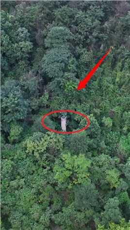 深山无人机拍到一条烟囪，荒山野岭里，材料是怎么弄上去的，放在这里做什么，真令人匪夷所思，你知道做什么嘛！