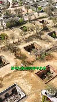 河南最神奇的村庄，陕州地坑院，你知道排水是怎样解决的吗！#陕州地坑院#旅行推荐官#旅行日记#地坑院