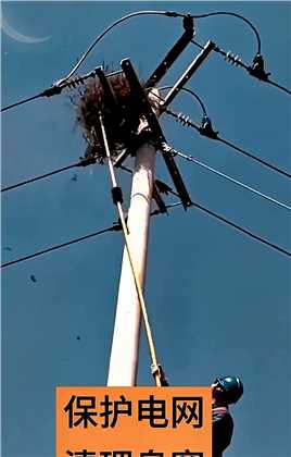 保护电网清理鸟窝