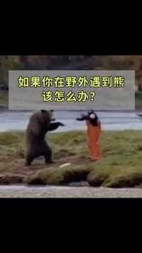 如果你在野外遇到熊,该怎么办？