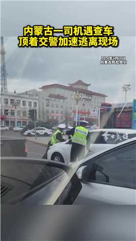 记者从海拉尔交警部门获悉，当事交警无大碍，肇事司机已被控制。警方正对此事做进一步调查。（新京报我们视频）