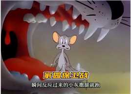 小老鼠家园保卫战怀旧动画童年经典动画片动画解说动画片