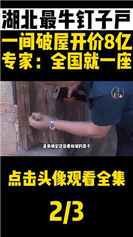 中国最豪钉子户，木屋由金丝楠木打造而成，房主：你们拆不起。#人物故事#真实案件#文物 (2)