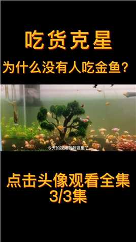 吃货儿们敢吃鲤鱼鲫鱼鲢鱼，面对金鱼却没人敢吃，这是为什么？#金鱼 (3)