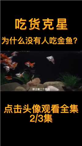 吃货儿们敢吃鲤鱼鲫鱼鲢鱼，面对金鱼却没人敢吃，这是为什么？#金鱼 (2)