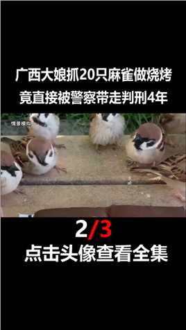 大娘抓20只麻雀做烧烤，竟直接被判4年刑，还要罚款一万元#麻雀#鸟类#保护动物#事件 (2)