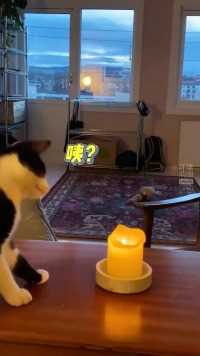 咪咪：请叫我猫猫消防员…