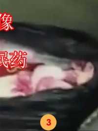 人贩子被捕的真实录像，给刚出生的婴儿灌安眠药，导致多名婴儿死亡 (3)
