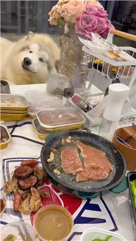 哈哈哈哈，第一次见狗子吃东西吃的这么伤感…#阿拉斯加.mp4

